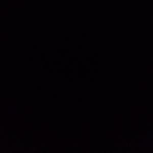 Meet your Posher, Pedro